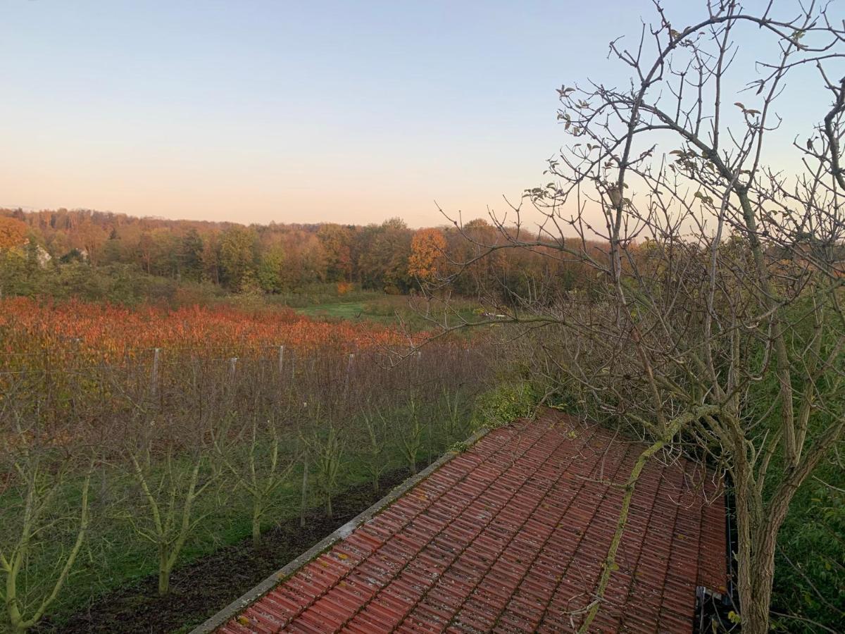 Mon Repos Villa Saint-Brice-sous-Forêt Exteriör bild